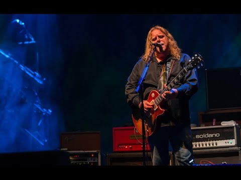 Gov't Mule