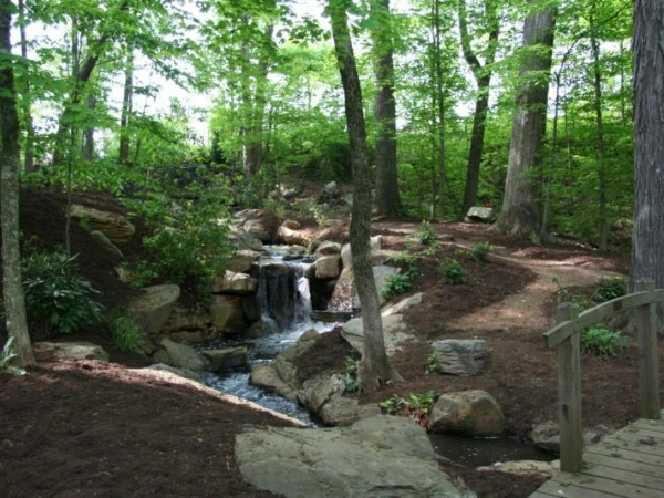The Bog Garden at Benjamin Park